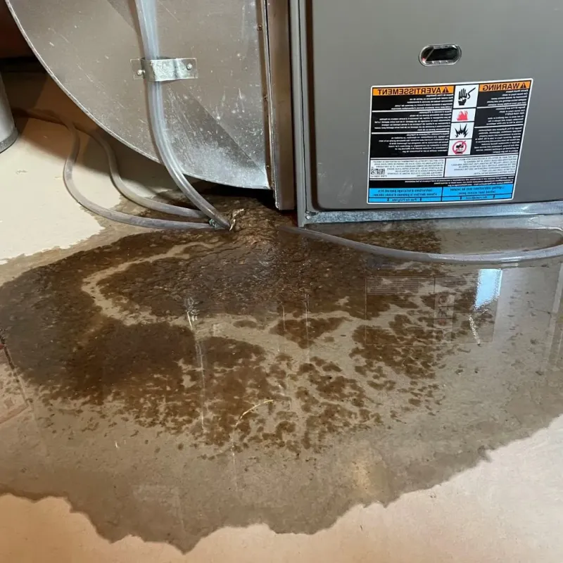 Pipe Burst and Leak Restoration in Meade County, KY